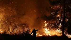 За прошедшие сутки спасатели ликвидировали лесной пожар