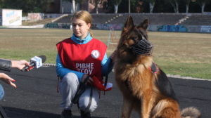 Спорт с собакой: в Запорожье прошел чемпионат юных кинологов, – ФОТОРЕПОРТАЖ