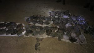 В Запорізькій області браконьєра спіймали за виловом камбали, — ФОТО