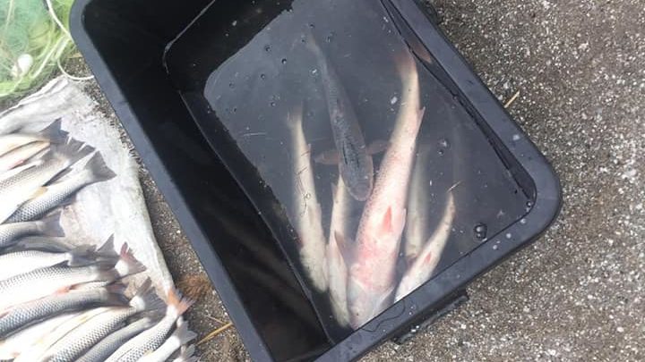 Бердянский браконьер наловил рыбы на 120 тысяч гривен, — ФОТО