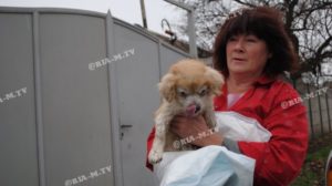 В Запорізькій області підлітки врятували собаку, яка впала в каналізаційний люк