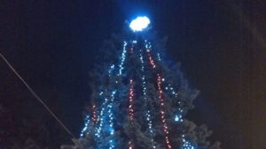 В Запорожье уже нарядили новогоднюю елку, — ФОТО