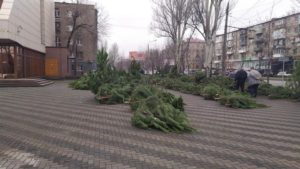 В Запорожье обнаружили еще две нелегальные точки по продаже елок