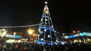 Главная елка Запорожья зажжет свои огни 19 декабря: место и время