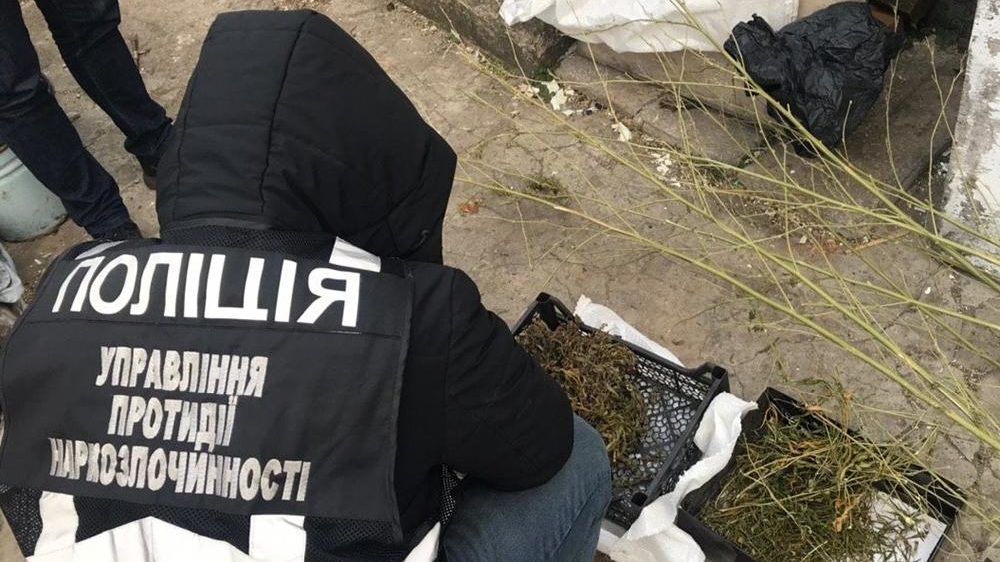 В Запорожской области полицейские нашли у женщины наркотиков на 40 тысяч гривен, — ФОТО