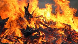 В Запорізькій області вщент згорів приватний будинок, — ФОТО