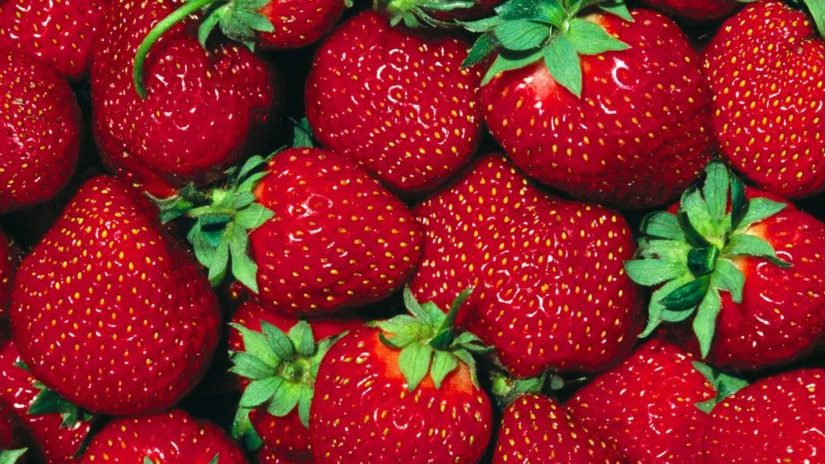 В Запорізькій області вже почали продавати полуницю