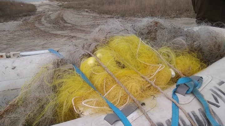 В Запорізькій області в морі продовжують знаходити браконьєрські сітки