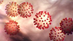 У Запорізькій області коронавірус запідозрили у 19 людей