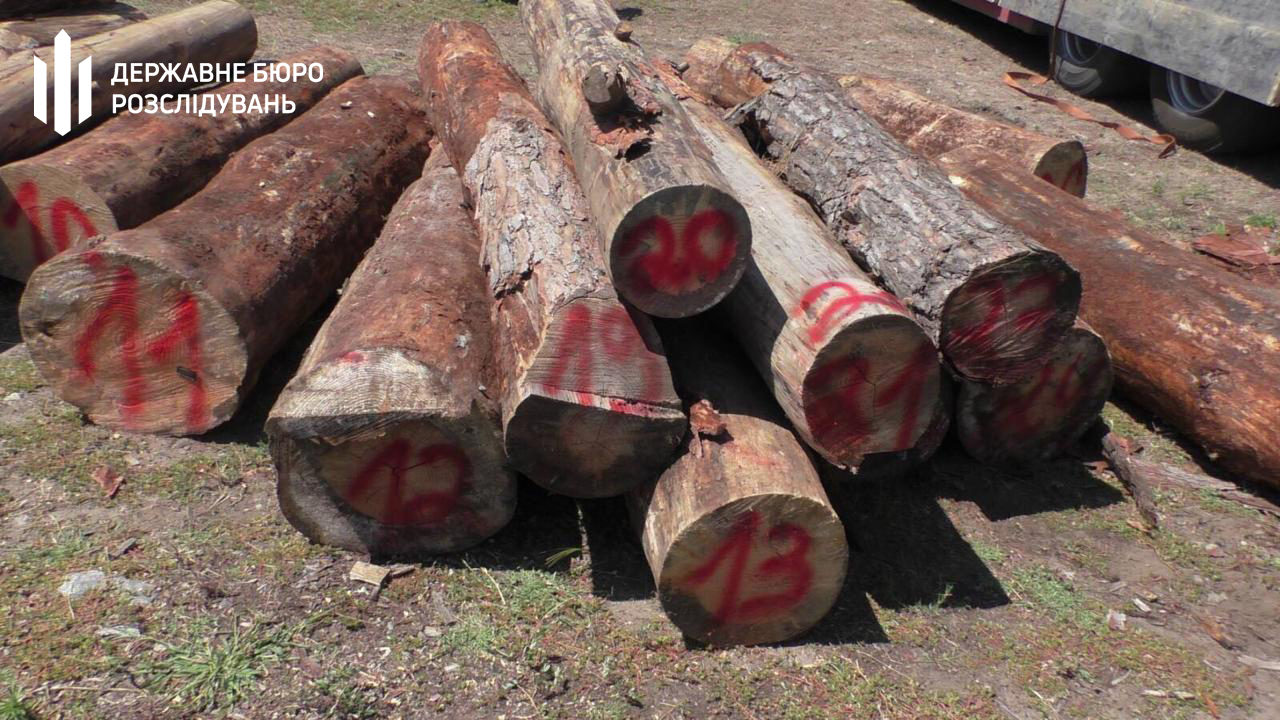 Директор запорізького лісгоспу вимагав 360 тисяч хабара за продаж деревини, – ФОТО