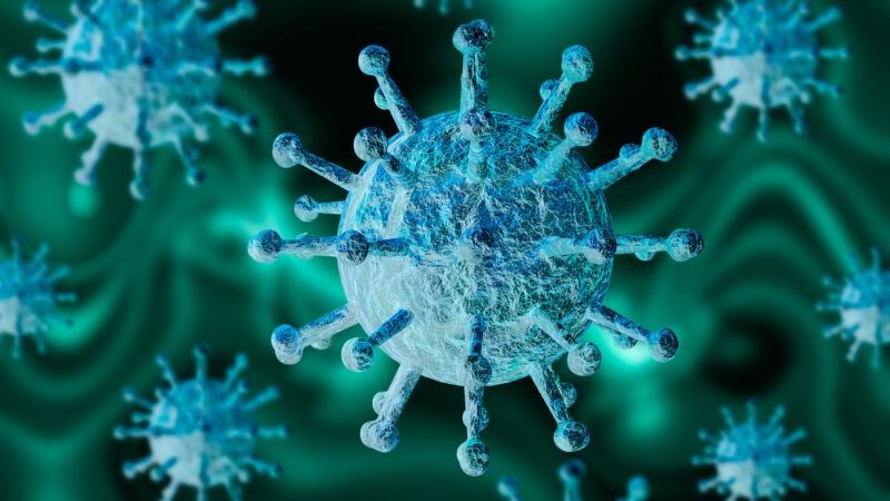 COVID-19: у Запорізькій області зареєстрували нові випадки коронавірусу