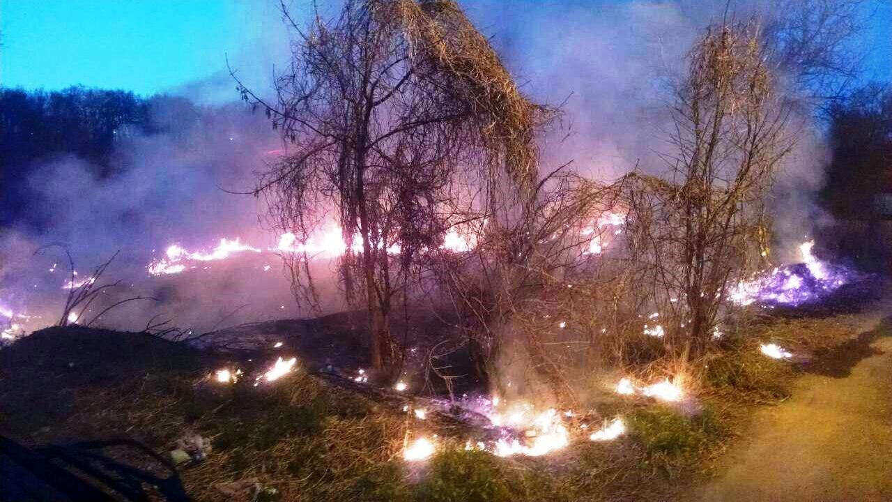 Как выглядят пожары в экосистемах Запорожской области, - ФОТО