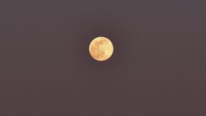 Как выглядела розовая луна, которая сошла прошлой ночью над Запорожьем, - ФОТО