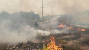 В Запорожской области полсотни спасателей тушили масштабный пожар, – ФОТО