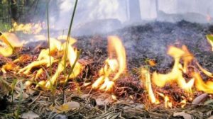 Літо, сонце та спека: запоріжців попереджають про вкрай високу пожежну небезпеку