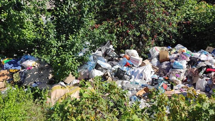 В приватному секторі Дніпровського району вивезли сміття, яке накопичувалося роками місцевою мешканкою, — ФОТО