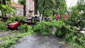 В центре Запорожья дерево рухнуло на два автомобиля, – ФОТО