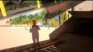 Вуличний художник закінчив прикрашати підземний перехід в центрі Запоріжжя, — ВІДЕО