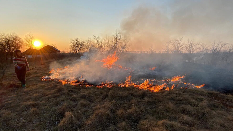 30 ГСЧС-ников за последние сутки тушили 7 пожаров в экосистемах Запорожской области