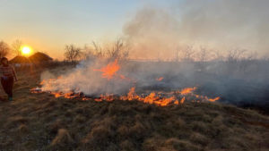 За прошедшие сутки в экосистемах Запорожской области произошло 10 пожаров