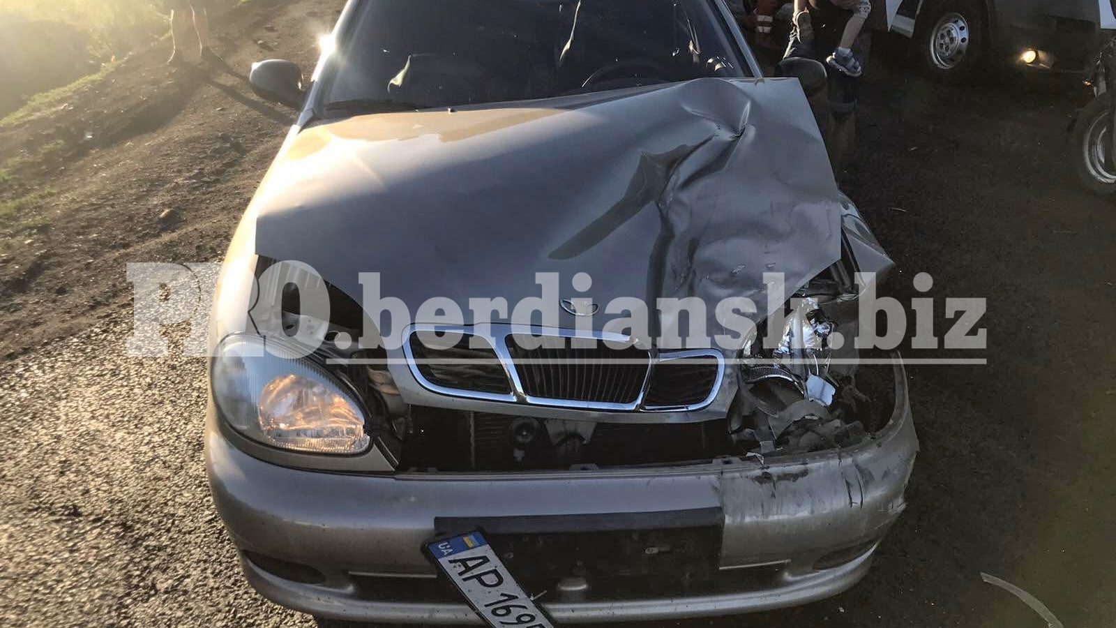 В Бердянському районі зіткнулися три машини: авто вщент, — ФОТО