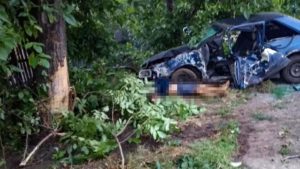 У Запорізькій області автомобіль вилетів з дороги і протаранив дерево: водій загинув на місці, – ФОТО