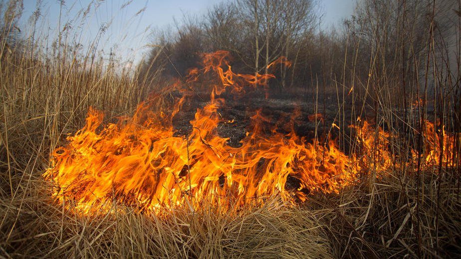 В Запорожье и области предупреждают о чрезвычайной пожарной опасности