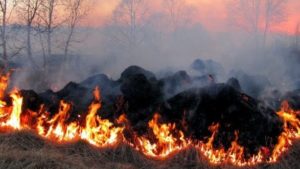 120 спасателей прошедшие сутки тушили пожары в экосистемах