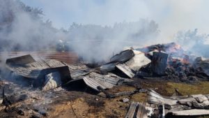 В Запорожской области в пожаре погибли четыре коровы