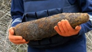 В Запорожской области нашли и уничтожили старые гранаты и артснаряды