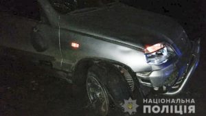 В Запорожской области водитель насмерть сбил пешехода, – ФОТО