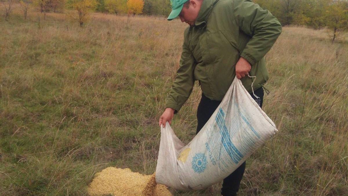 Лесники в Запорожской области обезвредили 70 браконьерских ловушек