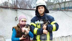 В Запорожской области спасатели вытащили из ямы щенков