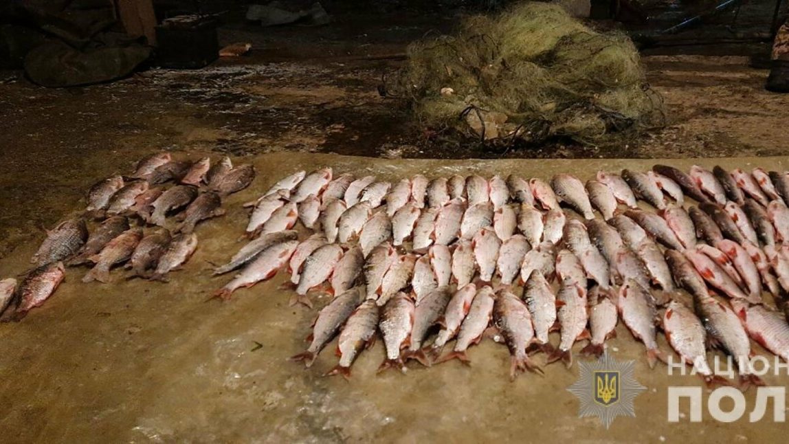 Під Запоріжжям браконьєр наловив риби на 9 тисяч гривень
