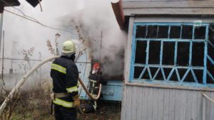 ДСНС-ники розповіли подробиці пожежі в Запорізькій області, з якої жінка винесла двох синів, — ФОТО
