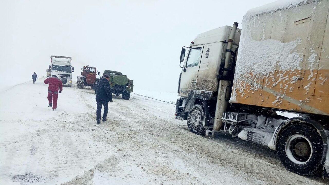 В Запорожье ожидаются сильные заморозки: спасатели предупреждают об опасности
