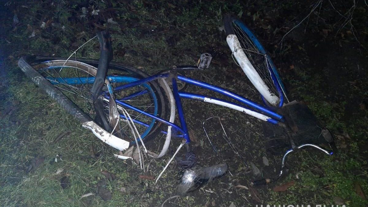В Запорожской области насмерть сбили велосипедиста, – ФОТО