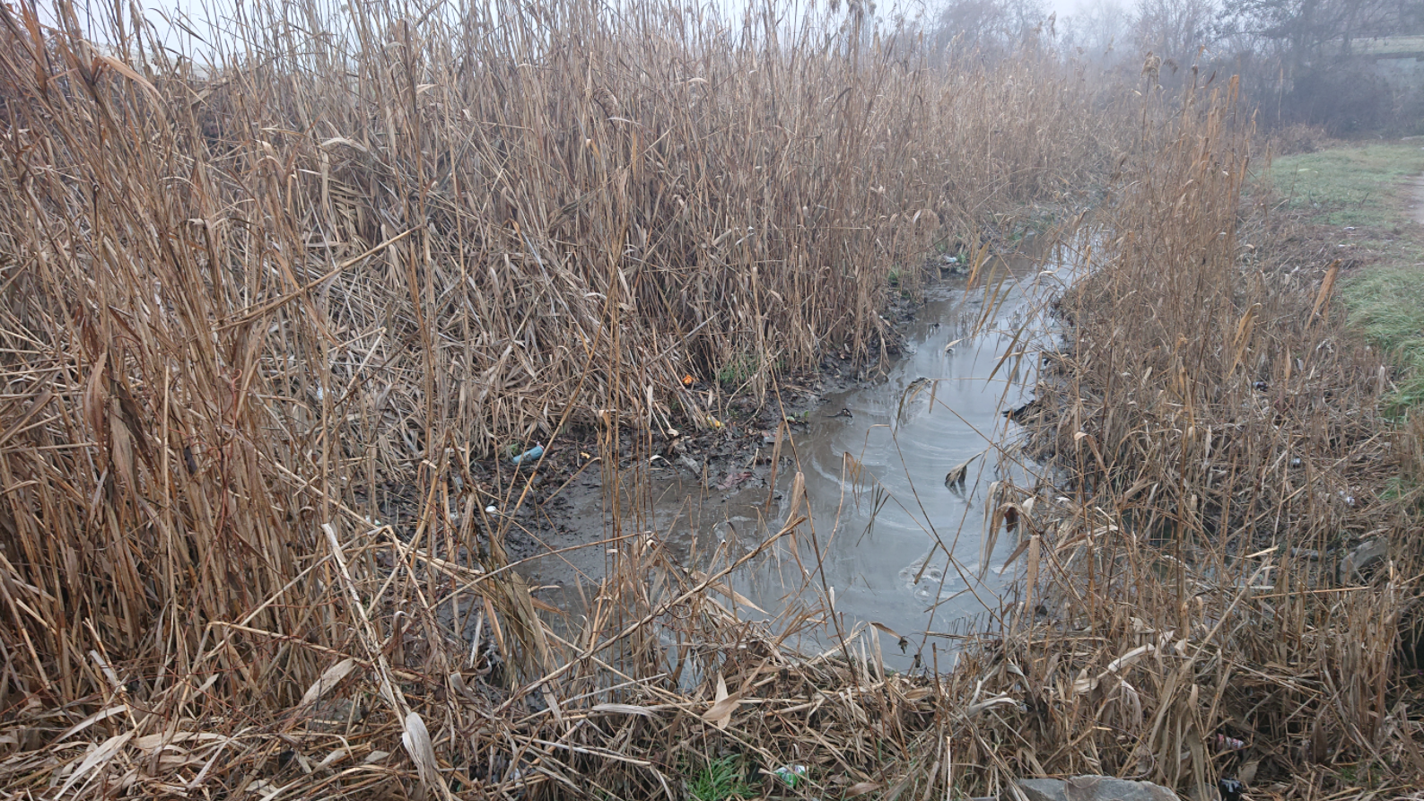 В Запорожье почти за 6 миллионов гривен расчистят русло погибающей реки возле Опытной станции