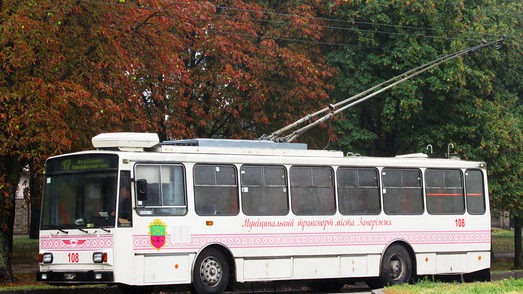 Пассажиропоток в городском электротранспорте Запорожской области упал в два раза