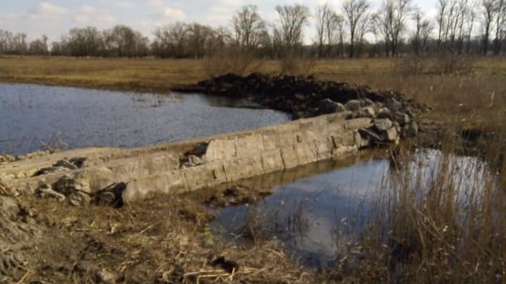 В нацпарке Запорожской области неизвестные перекрыли русло реки, соорудив дамбу, – ФОТО 