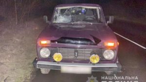 У Запорізькій області водій легковика на смерть збив чоловіка