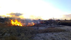 У Запорізької області за добу рятувальники ліквідували 6 пожеж в природних екосистемах, – ФОТО 