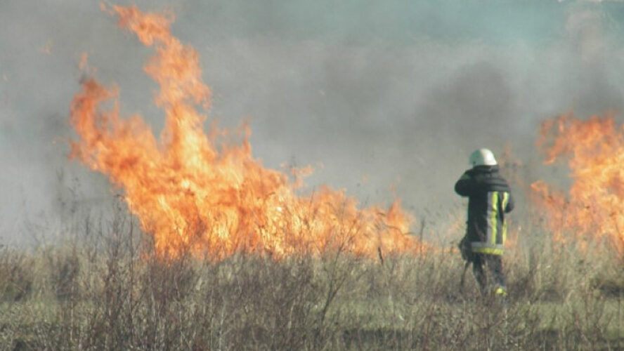Весна пришла - начались пожары: спасатели трижды тушили огонь в экосистемах