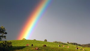 В небе над Запорожьем засияла радуга: запорожцы поделились яркими фото