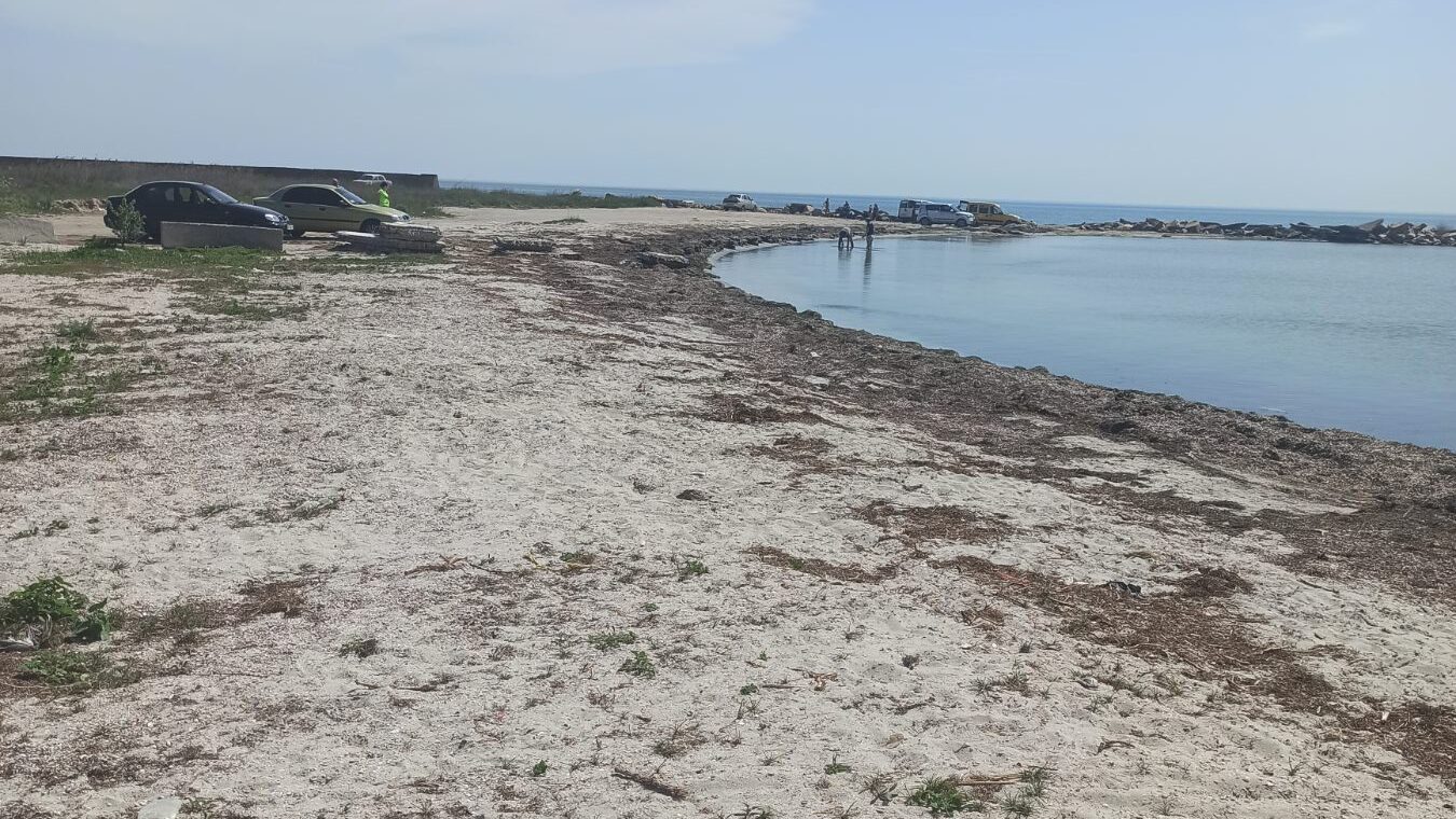 Мертвые дельфины и мусор: отдыхающие возмущены состоянием пляжей на запорожском курорте, - ФОТО