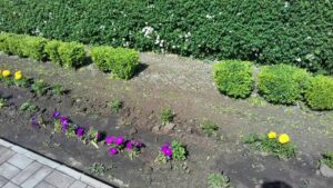 В Запорожье с памятника Голодомора украли цветов и кустов на 4,5 тысячи гривен