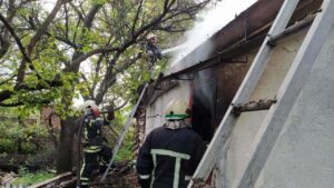 Под Запорожьем произошел пожар в доме: погибла женщина