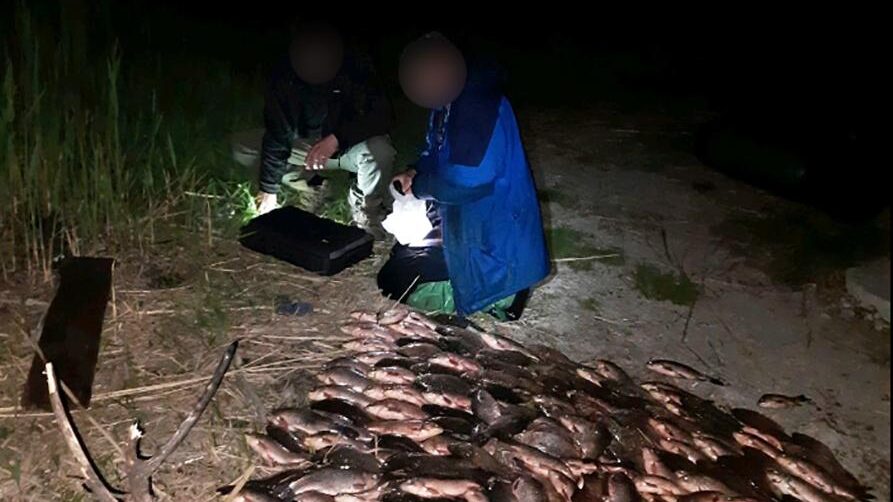 Под Запорожьем водные полицейские задержали браконьеров с незаконным выловом, – ФОТО