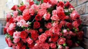 На центральному проспекті в Запоріжжі зафільмували молодика, який рвав троянди, — ВІДЕО