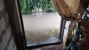 В Мелитополе сильные осадки подтопили несколько домов, — ФОТО
